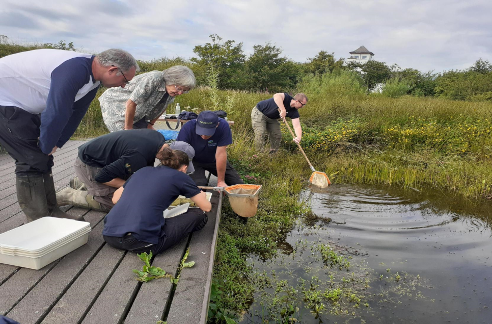 Dragonfly Hotspot Transect Training